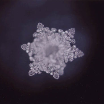 Arctic Water crystal | le gear and emoto | grown from arctic iceberg