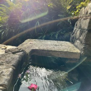Tobernalt Holy Well Sligo